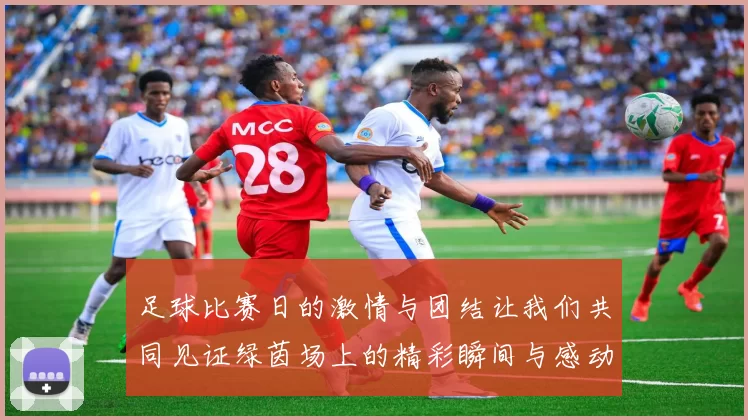 足球比赛日的激情与团结让我们共同见证绿茵场上的精彩瞬间与感动时刻