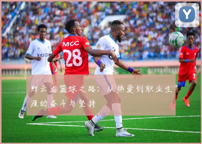 郑云龙篮球之路：从热爱到职业生涯的奋斗与坚持