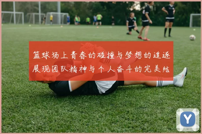 篮球场上青春的碰撞与梦想的追逐展现团队精神与个人奋斗的完美结合