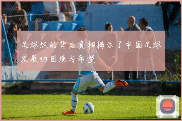 足球烂的背后真相揭示了中国足球发展的困境与希望