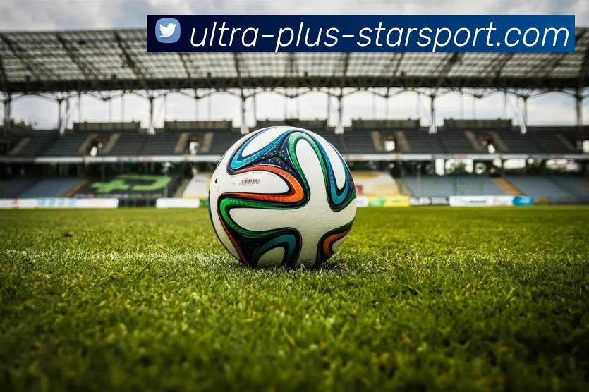 星空体育平台生态图